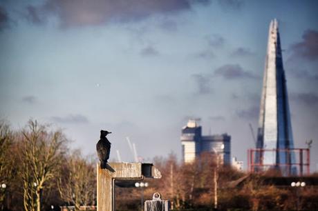 In & Around #London… Five Views Of The Shard