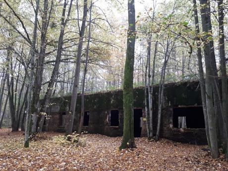 Nigdy Więcej Wojny: Touring Wolfschanze (Wilczy Szaniec or Wolf’s Lair) in Gierłoż Forest – Hitler’s World War 2 Hideout Nigdy Więcej Wojny: Touring Wolfschanze (Wilczy Szaniec or Wolf’s Lair) in Gierłoż Forest – Hitler’s World War 2 Hideout