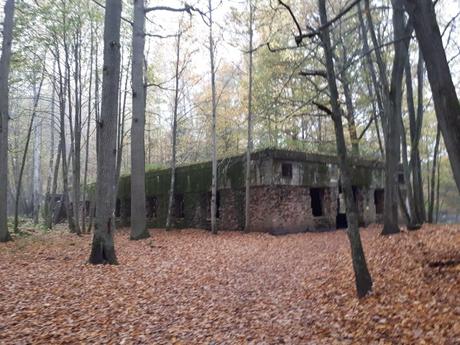 Nigdy Więcej Wojny: Touring Wolfschanze (Wilczy Szaniec or Wolf’s Lair) in Gierłoż Forest – Hitler’s World War 2 Hideout Nigdy Więcej Wojny: Touring Wolfschanze (Wilczy Szaniec or Wolf’s Lair) in Gierłoż Forest – Hitler’s World War 2 Hideout