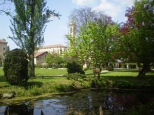 Desana, il riso e il castello. Desana, the rice and the castle.°