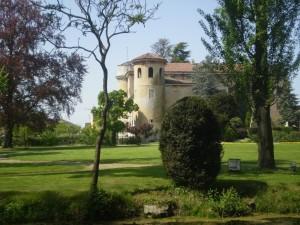 Desana, il riso e il castello. Desana, the rice and the castle.°