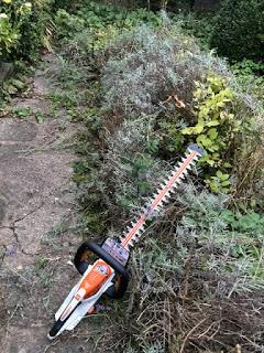 Product Review:  Stihl cordless hedgetrimmer, brushcutter and leaf blower