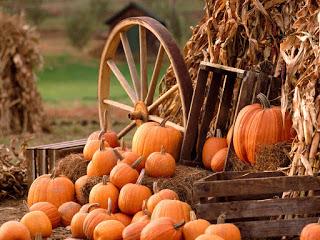 Harvest - The Pumpkin