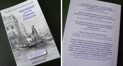 What is Whitebait? Read Roger Williams's book and find out more What is Whitebait? Read Roger Williams's book and find out more