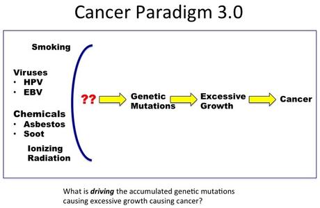 The history and future of cancer