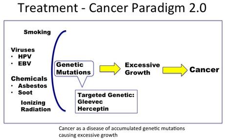 The history and future of cancer