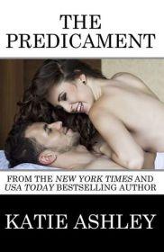 The Predicament by Katie Ashley | Blushing Geek