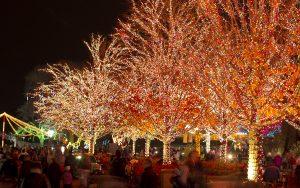 ZooLights