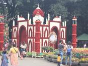 DAILY PHOTO: Children’s Flower Displays