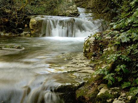 Discover Italia: off the beaten path, wine and food itineraries and naturalistic routes