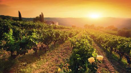 Discover Italia: off the beaten path, wine and food itineraries and naturalistic routes