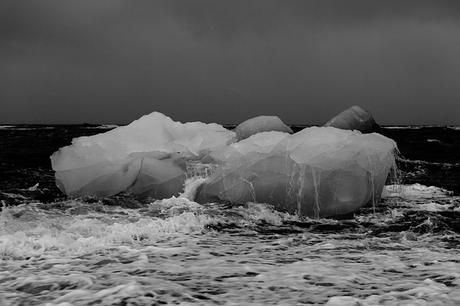 The Battle for Polar Bears and the Polar Ice Caps