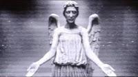 FREEBIE: Weeping Angels Screensaver (ALL)