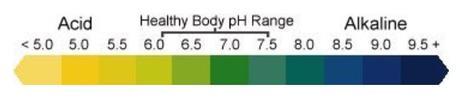 Acid Alcaline ph foods