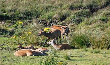 Sykes Cottages Discounts