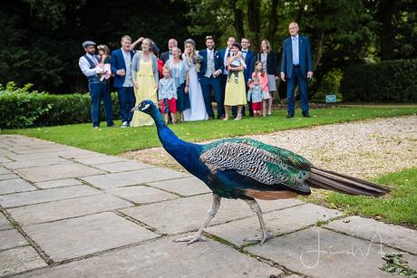 Larmer Tree Gardens Wedding Photographers