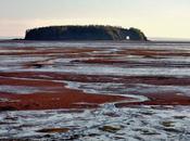 CANADA’S FUNDY: About Hole That Disappeared, Guest Post Caroline Hatton