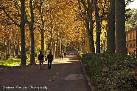 A visit to France – Toulouse (3)