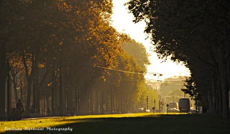 A visit to France – Toulouse (3)