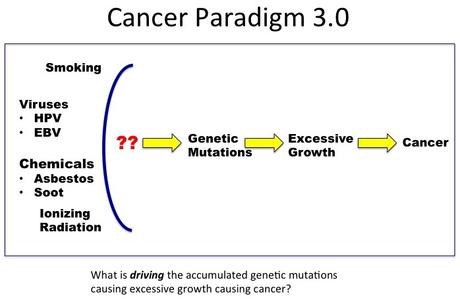 Darwin’s theory of evolution or why cancer is not simply a result of random mutations