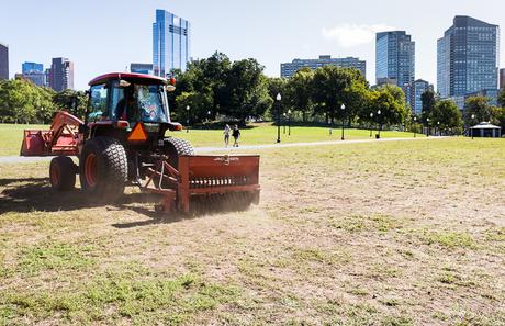 Friends at Work: Caring for the grass and soils beneath your feet | November 15, 2017