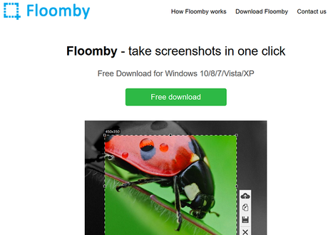 Floomby Review: Now Take Screenshots in One Click