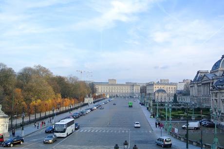 brussels with my brother