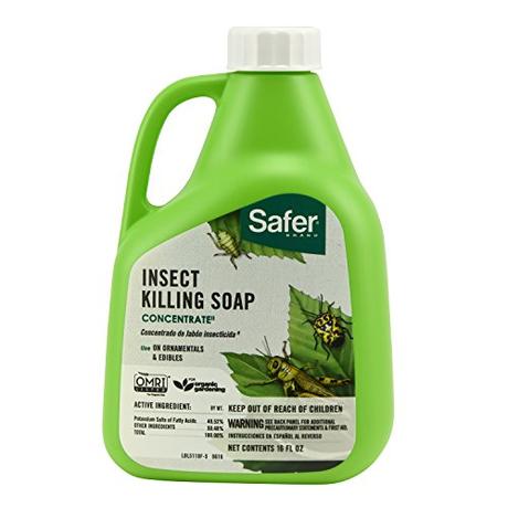 insecticidal soap
