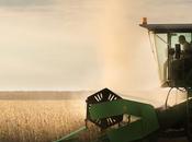 Entire Went Vegan, Would ‘nutritional Nightmare’