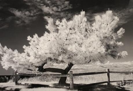 ARTmonday: Montserrat College of Art Small Works Sale Boston Artist Karen Hosking B&W Photography