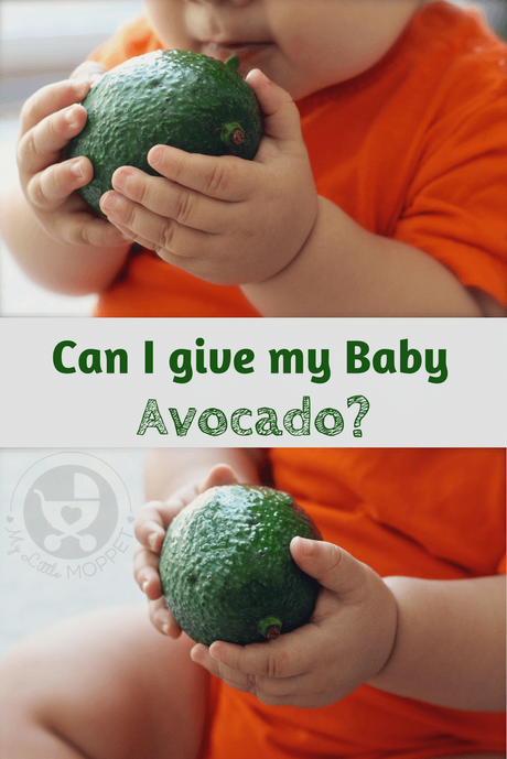 Avocado is a fruit with a load of health benefits which makes Moms wonder, 