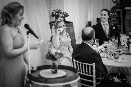 Mapperton House Wedding Photographers & Videographers