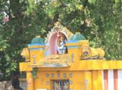 DAILY PHOTO: Roadside Shrine