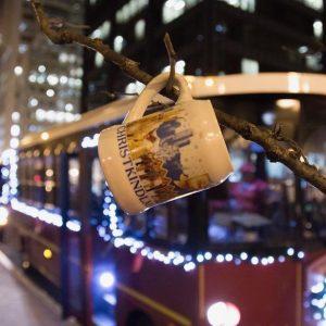 chicago trolley holiday lights tour