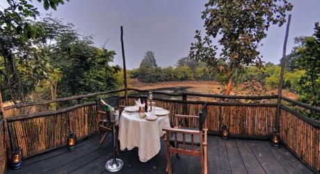 Safari in India: Treehouse hideaway Bandgavgarh - viewing deck