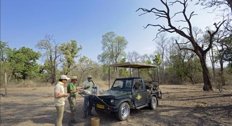 Safari in India: Pench Tree Lodge