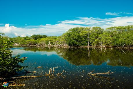 Visit Punta Chame for a Panama City Getaway