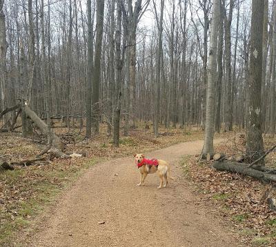 #OptOutside, 2017 version