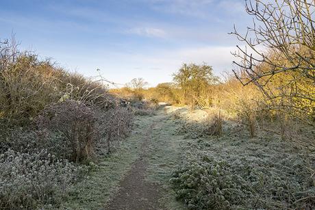 Frost at the Old Lock