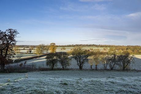 Ouse Valley Park in the Frost