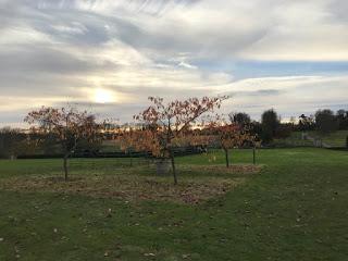 Autumn skies at Easton Walled Gardens