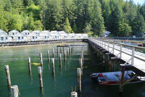 Finding Inspiration (and lots of fish) at Waterfall Resort, Alaska