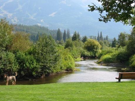 Whistler Activities – Outdoor Adventures in British Columbia
