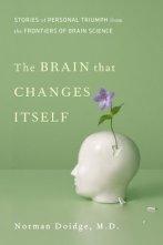brain brain
