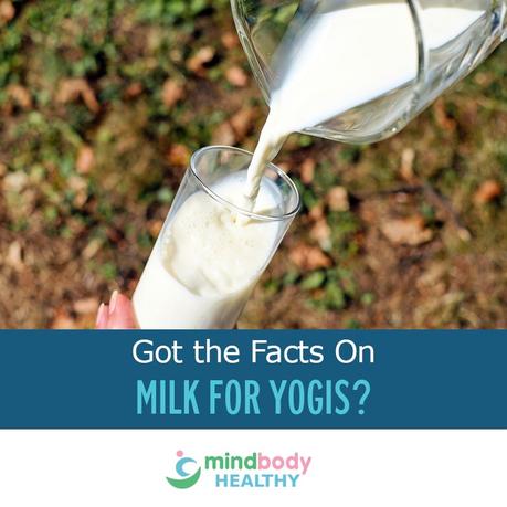 milk yogis facts