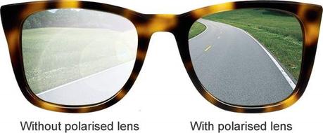 Polarized vs. Non-Polarized Sunglasses For Fishing