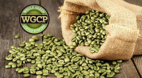 Whole Green Coffee Powder (WGCP): Your Focus and Weight Loss Secret Ingredient