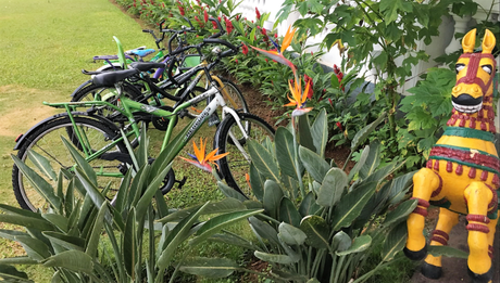 Cycles on the property for a ride into the gardens