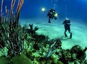 Researchers Have Made Massive Breakthrough Coral Reef Restoration