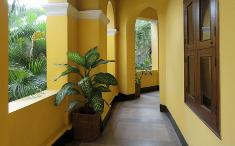 Yellow walls
